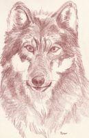 King of Wolves